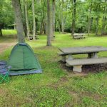 The Farm at Wilkerson Mill Camp