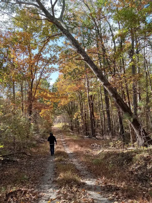 The Farm at Wilkerson Mill Camp 8