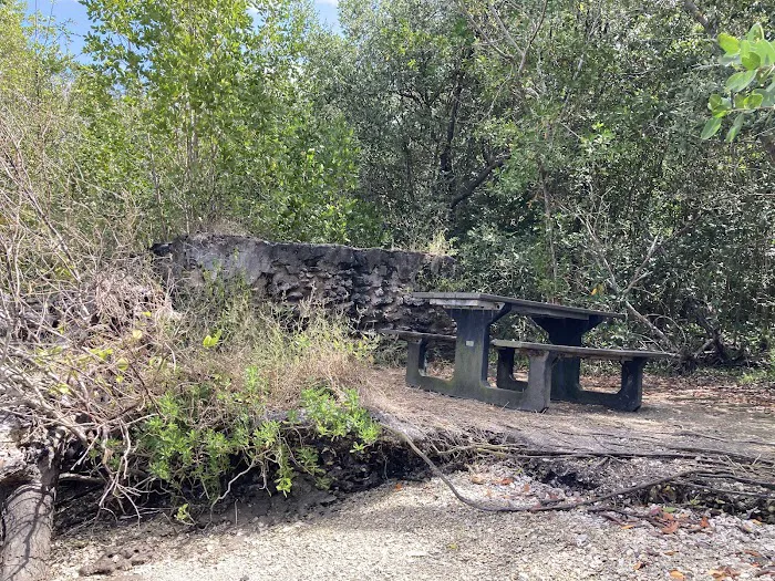 Lopez River Campsite 2