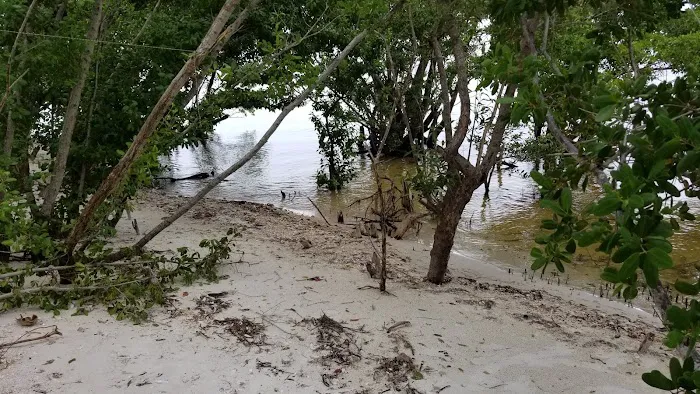 Rabbit Key Campsite 8