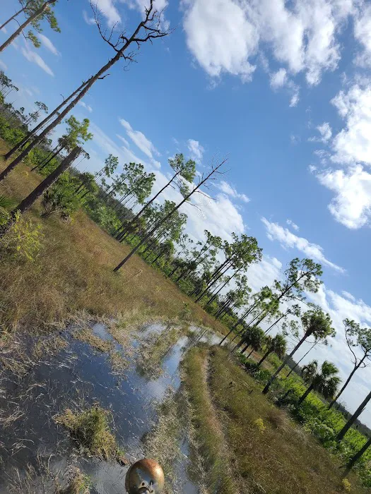 Dona Drive wildlife check station 4