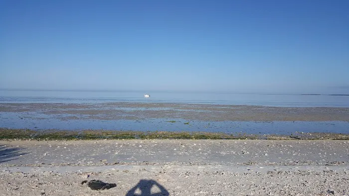 Pavilion Key Campsite 5
