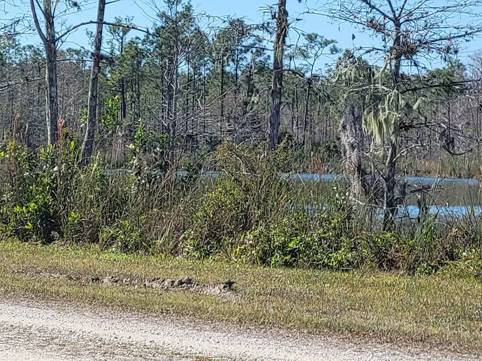 Burns Lake Campground 1
