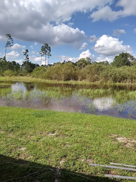 Big Cypress Indian Reservation 8
