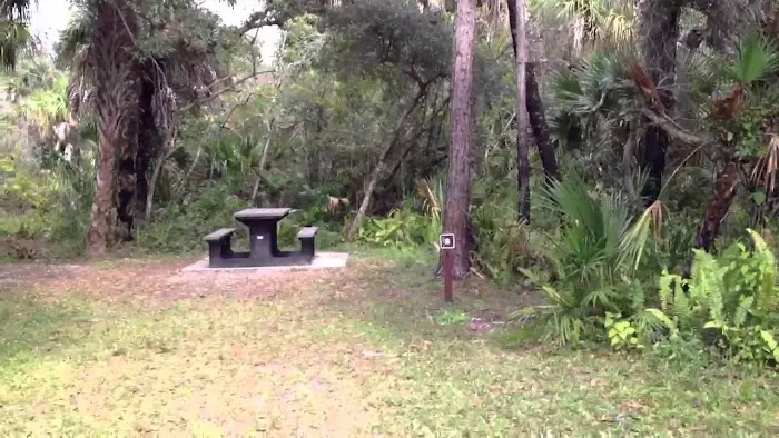Pink Jeep Campground 0