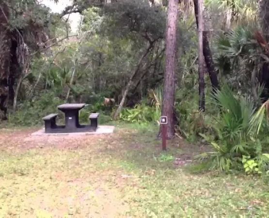 Pink Jeep Campground