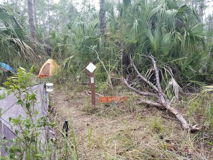 Frog Hammock Camp 4