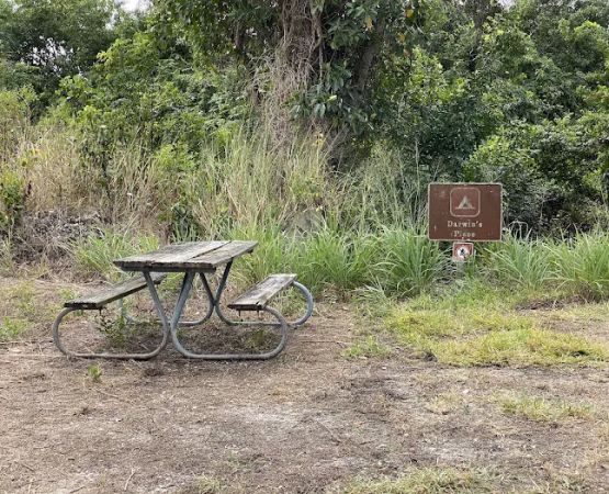 Darwin’s Place