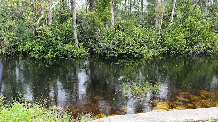 Mitchell Landing Big Cypress National Preserve 1