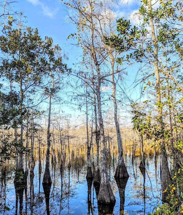 Mitchell Landing Big Cypress National Preserve 2