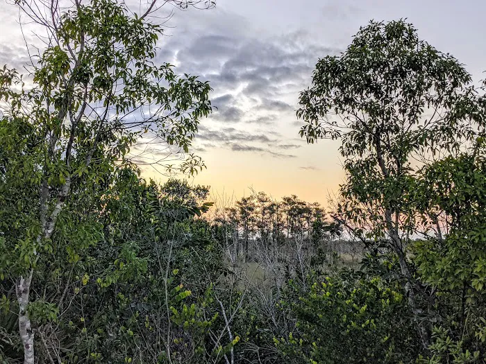 Mitchell Landing Big Cypress National Preserve 0