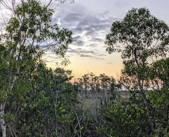 Mitchell Landing Big Cypress National Preserve