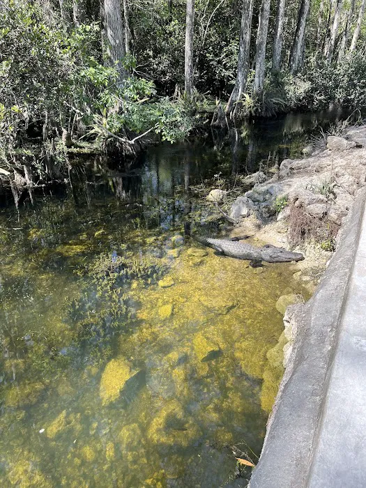 Mitchell Landing Campground 6