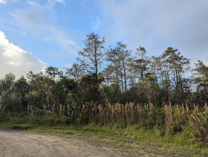 Mitchell Landing Campground 7