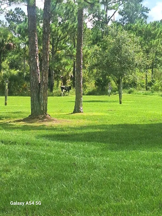 Picayune Strand State Forest Campground 7