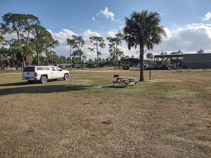 Picayune Strand State Forest Campground 9