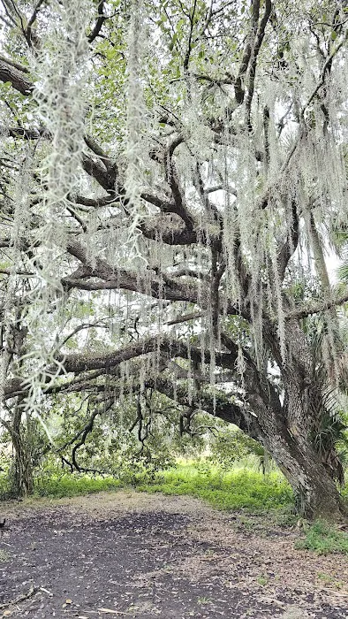 Hammock Campground 2