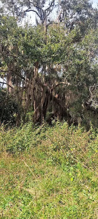 Hammock Campground 0