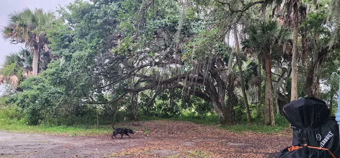Hammock Campground 6