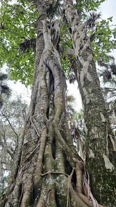 Hammock Campground 8