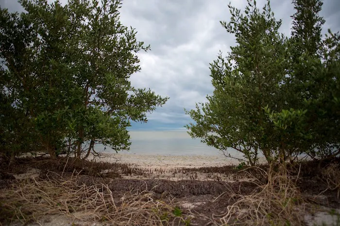 East Clubhouse Beach 0