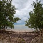 East Clubhouse Beach