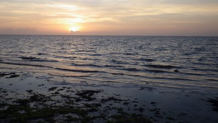 East Cape Campsite 7
