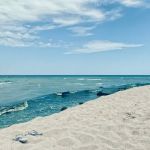 Alligator Creek Campsite