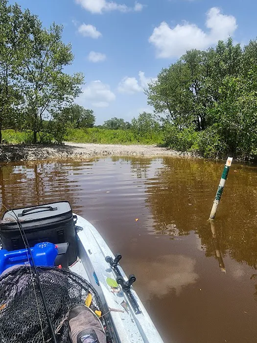 Alligator Creek Campsite 4