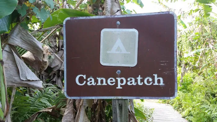 Canepatch 9