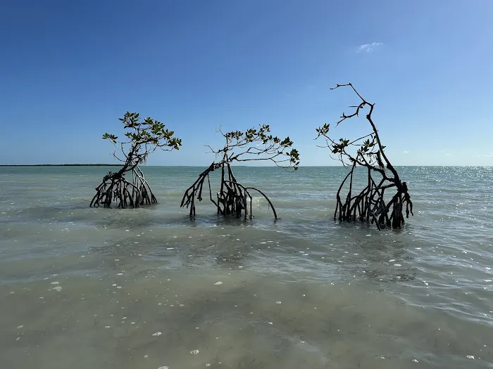 North Nest Key 4