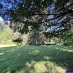 Kingfisher Group Camp