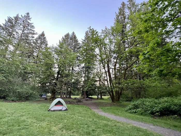 Kingfisher Group Camp 4