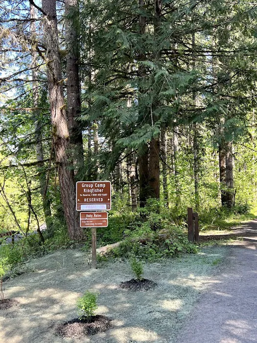 Kingfisher Group Camp 6