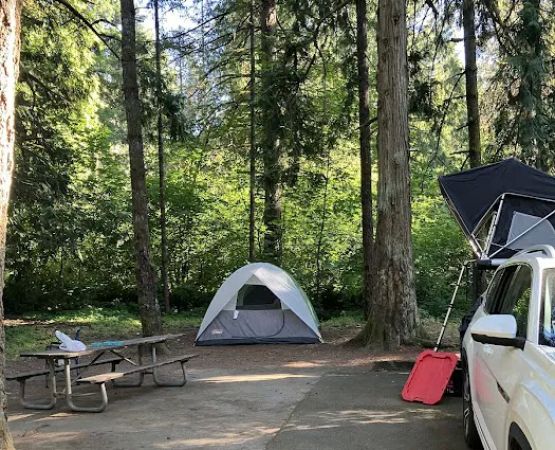 Milo Mclver State Park Campground