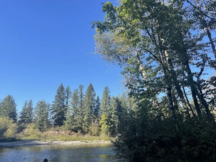 Milo Mclver State Park Campground 7