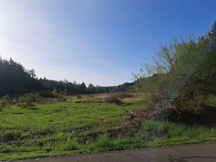 Milo Mclver State Park Campground 6