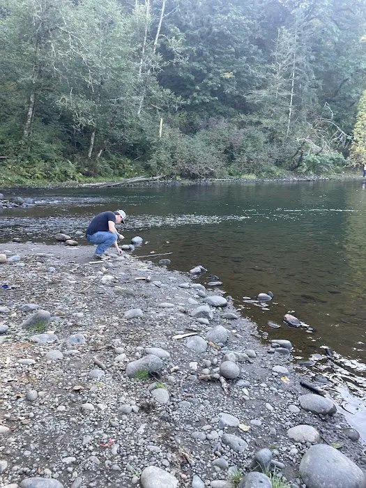 Milo Mclver State Park Campground 8