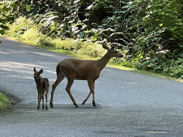 Oxbow Park Campground Entrance 0