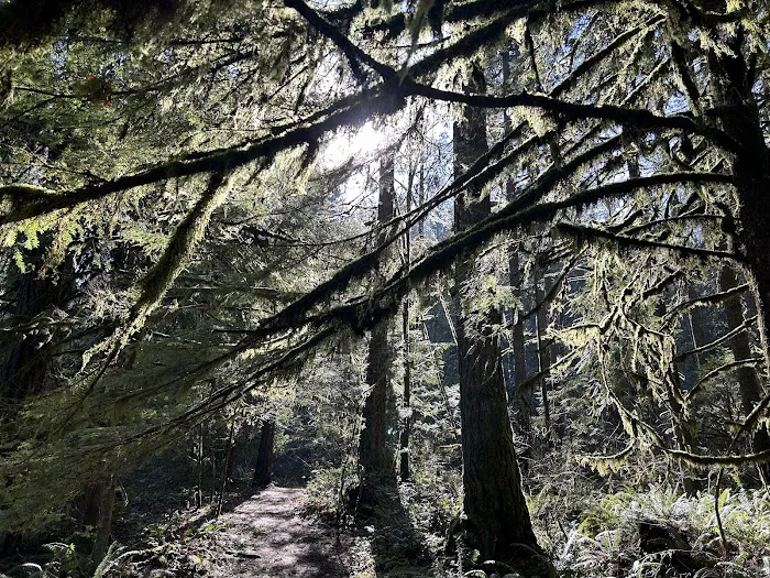 Metzler Park Recreation Site 0