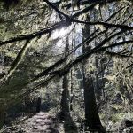 Metzler Park Recreation Site