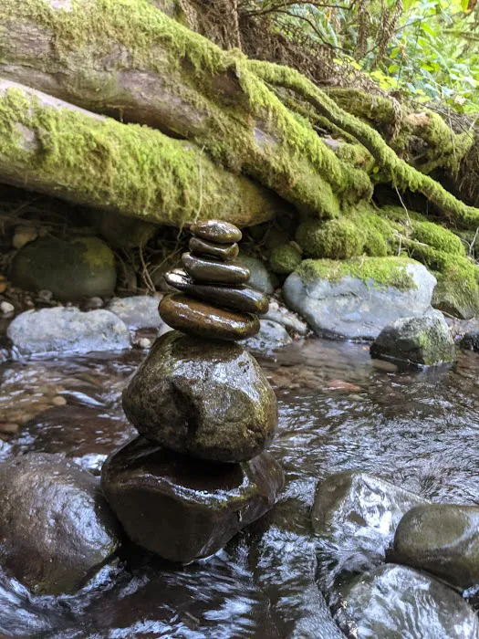 Metzler Park Recreation Site 4