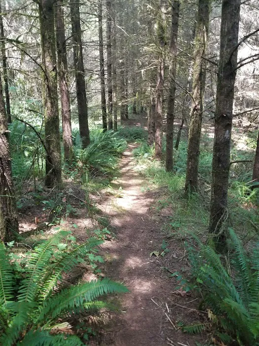 Metzler Park Recreation Site 6