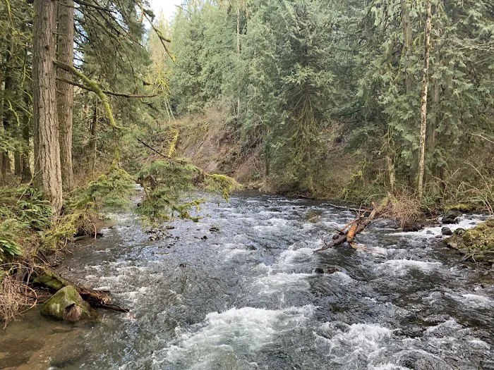 Metzler Park Recreation Site 9
