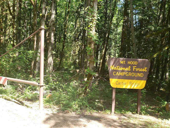 Carter Bridge Campground 1