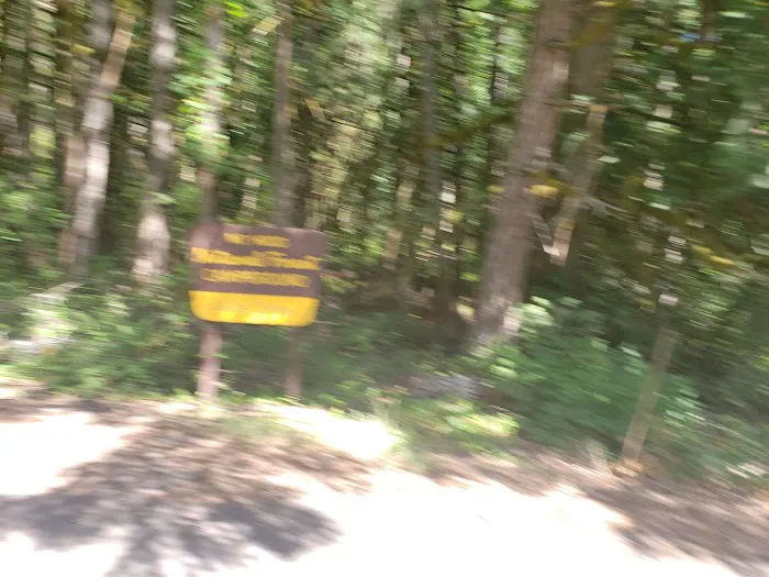 Carter Bridge Campground 0