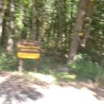 Carter Bridge Campground