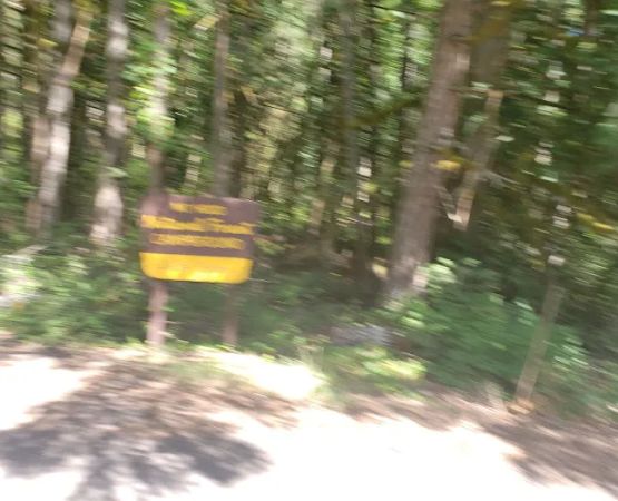 Carter Bridge Campground