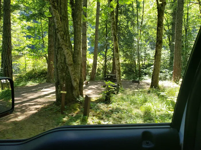 Carter Bridge Campground 4