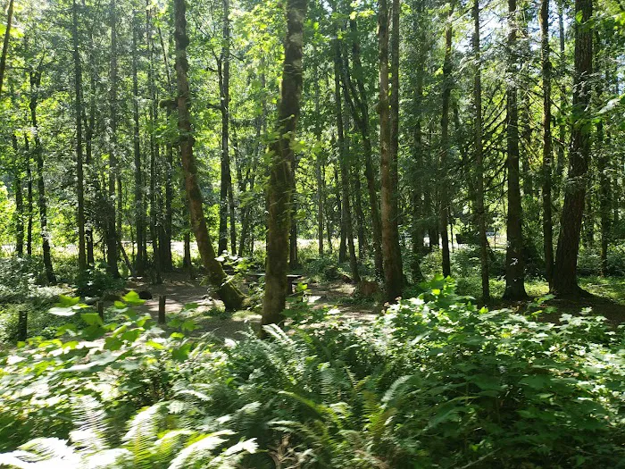 Carter Bridge Campground 2